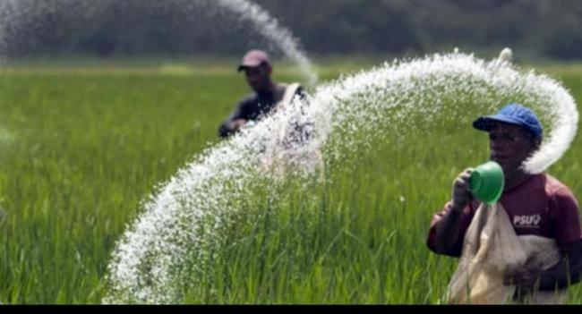 යූරියා මෙට්‍රික් ටොන් 8300ක ප්‍රදානයක්